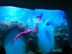 景观位-瑞德姆美人鱼海底演艺主题餐厅(亚龙湾店)