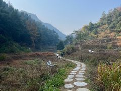 -长沙黑麋峰国家森林公园