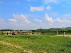 -御道口草原森林风景区