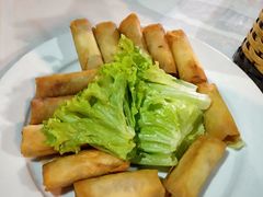 -越海渔村