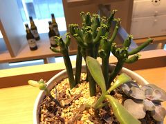 -杭州西湖湖滨银泰亚朵酒店