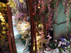 -正佳雨林生态植物园