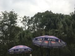 -鱼凫国都大酒店温泉