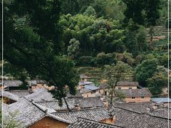 -杨家堂村