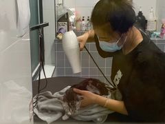 -宠颐生动物医院·心脏科·保险定点(锦阳分院)