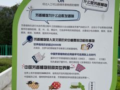 -黄兴公园