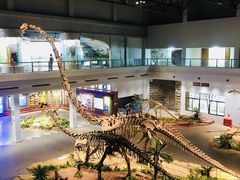 -自贡恐龙博物馆
