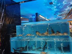 -山海•蒸汽活海鲜自助(皇庭广场店)