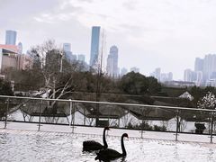 -行者书屋大堂吧 ·下午茶(南京圣和府邸酒店)