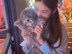 -MR.ROCKY洛奇先生·西餐&酒吧(太古仓店)