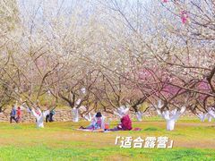-秀丽东方