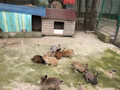 -上海海湾国家森林公园