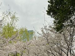 -西北湖绿化广场