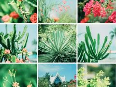 -惠州金海湾嘉华度假酒店