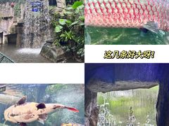 -青青世界