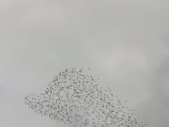 -太鲁阁公园