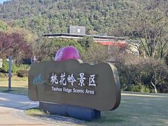 -桃花岭景区