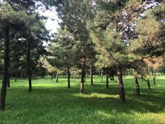 -森林公园(尖草坪区)