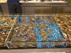 -半岛听涛蒸汽海鲜自助(K11店)