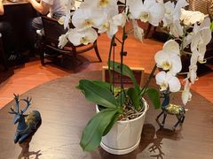 -明湖楼·经典鲁菜山东海鲜(大明湖店)