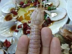 皮皮虾-人和啤酒屋海鲜大排档(营口路店)