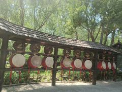 -合肥滨湖国家森林公园