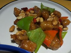 -素虎小呆鸟(西二旗店)