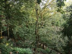 -莫干山大坑景区-停车场