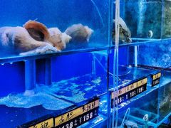 水产区-金龙·打边炉(武进路店)