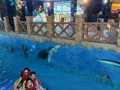 -青岛东方影都融创水世界