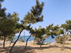 -养马岛旅游度假区