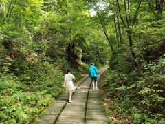 -五营红松林海景区