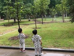 -裕华世纪公园