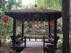 -同里国家湿地公园