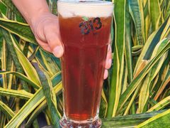 -813芭依珊 BAESAn(皇冠十畝地店)