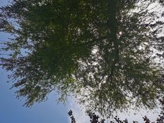 -石塘人家