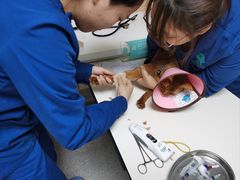 -谐和贝康宠物医院24小时·宠保定点(急重症转诊中心)