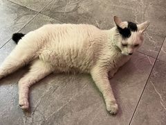 -CAFE CHEZ W一木家(香山路店)