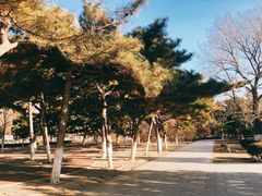 景点-沈阳中山公园