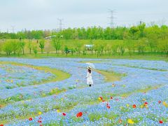 -上海滨江森林公园