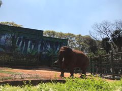 -昆明动物园