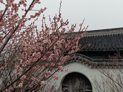-雨花胜境