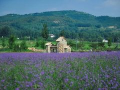 -兰陵国家农业公园