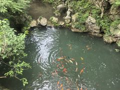 -灵隐飞来峰景区
