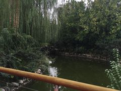 -兰州马子禄牛肉面(文景公园店)