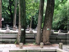 -青岛崂山太清宫
