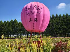 -嘉北郊野公园