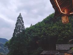 -林坑古村落