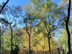 -元大都城垣遗址公园