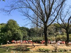 -上海野生动物园